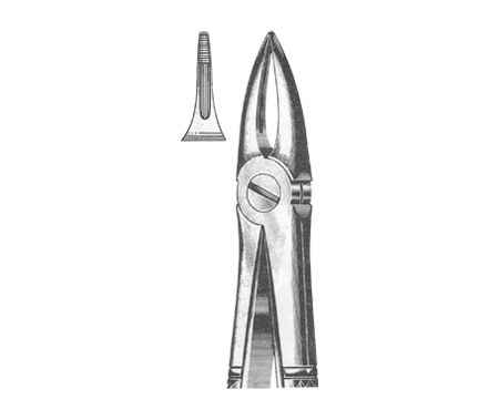 Extracting Forceps English Pattern