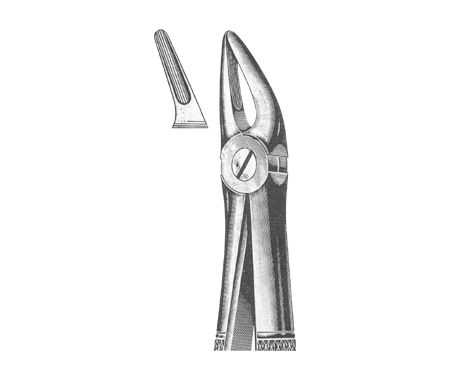 Extracting Forceps English Pattern