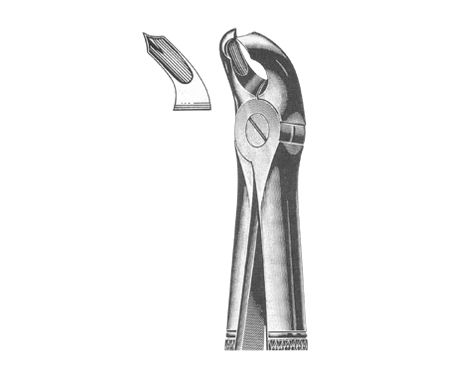 Extracting Forceps English Pattern