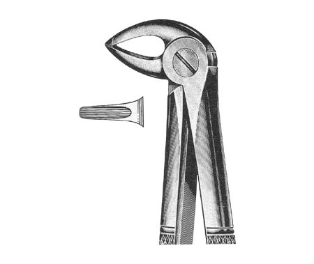 Extracting Forceps English Pattern
