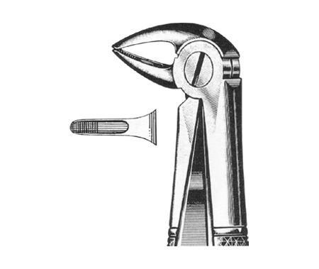 Extracting Forceps English Pattern
