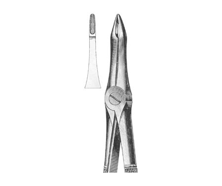 Extracting Forceps English Pattern