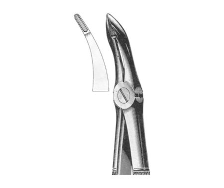 Extracting Forceps English Pattern