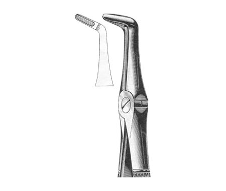 Extracting Forceps English Pattern