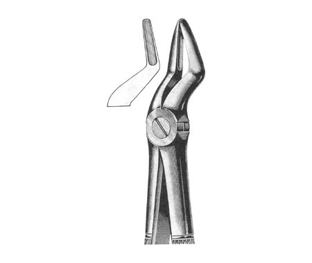 Extracting Forceps English Pattern