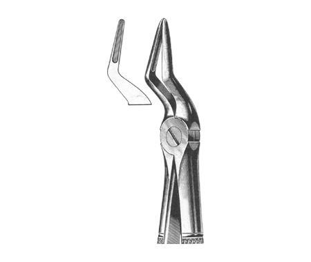 Extracting Forceps English Pattern