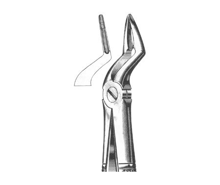 Extracting Forceps English Pattern