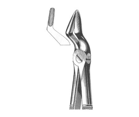 Extracting Forceps English Pattern