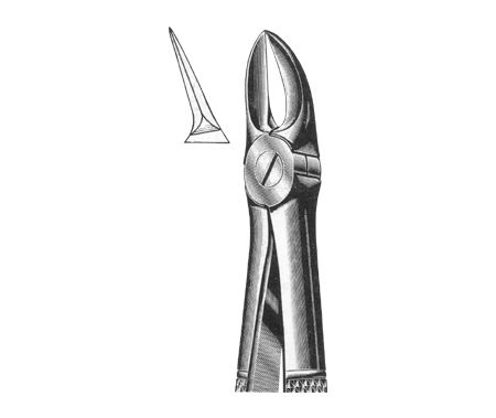 Extracting Forceps English Pattern