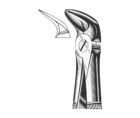 Extracting Forceps English Pattern