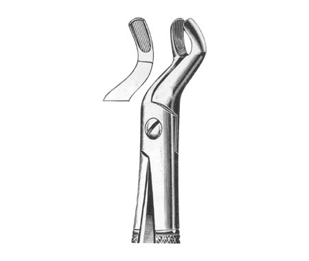 Extracting Forceps English Pattern