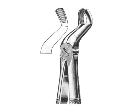 Extracting Forceps English Pattern
