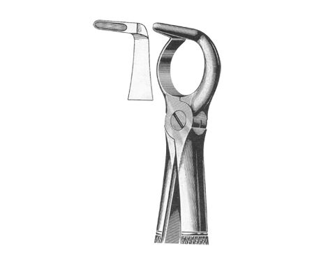 Extracting Forceps English Pattern