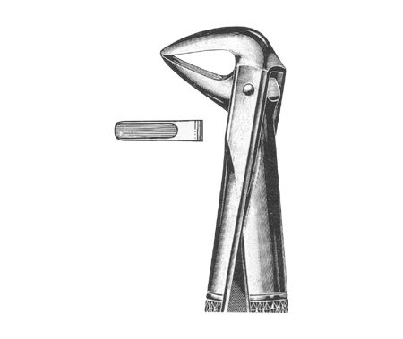 Extracting Forceps English Pattern
