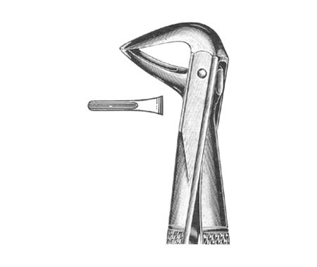 Extracting Forceps English Pattern