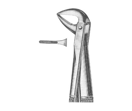 Extracting Forceps English Pattern