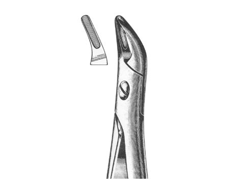 Extracting Forceps English Pattern