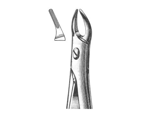 Extracting Forceps English Pattern