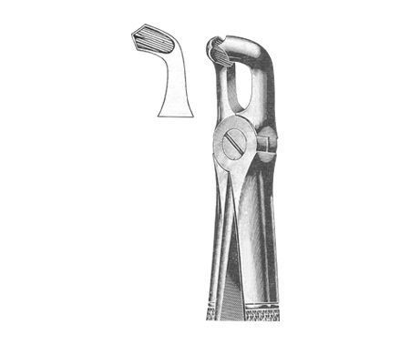 Extracting Forceps English Pattern