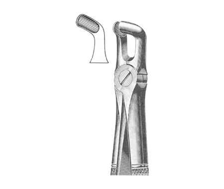 Extracting Forceps English Pattern