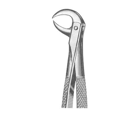 Extracting Forceps English Pattern