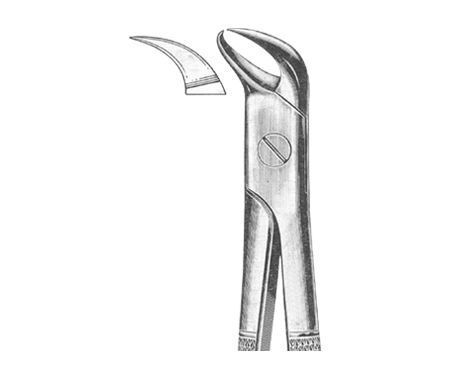 Extracting Forceps English Pattern