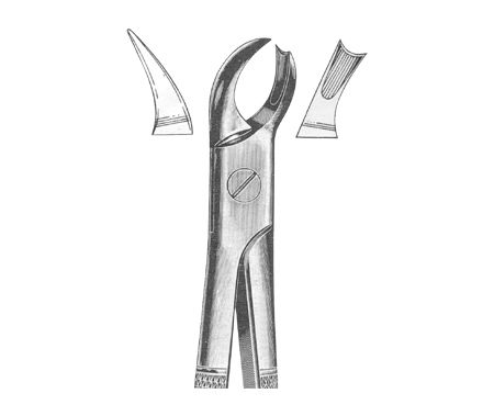 Extracting Forceps English Pattern