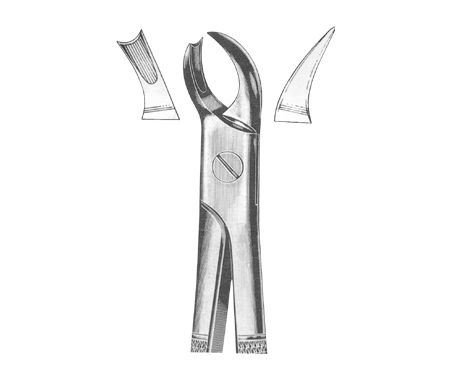 Extracting Forceps English Pattern