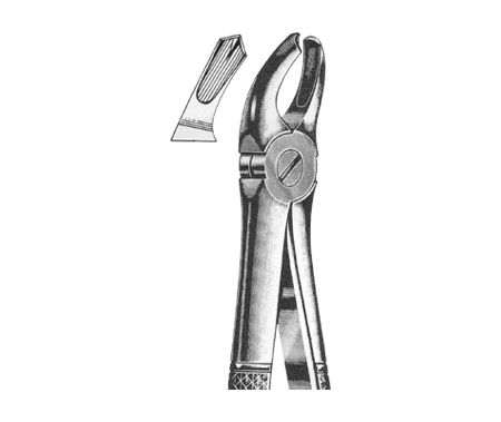 Extracting Forceps English Pattern