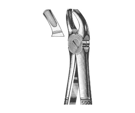 Extracting Forceps English Pattern