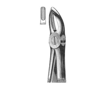 Extracting Forceps English Pattern