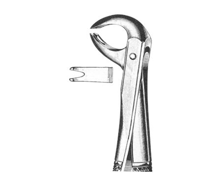 Extracting Forceps English Pattern