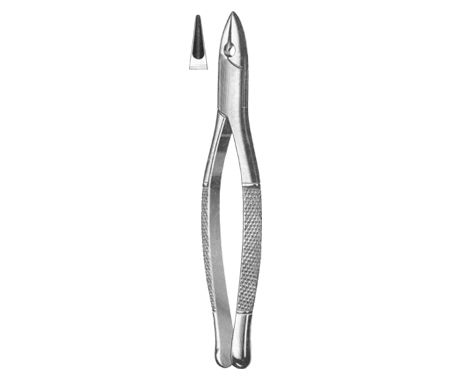 Extracting Forceps American Pattern