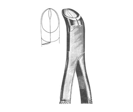 Extracting Forceps American Pattern