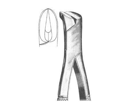 Extracting Forceps American Pattern
