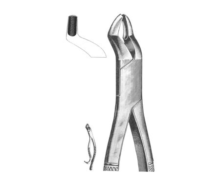 Extracting Forceps American Pattern