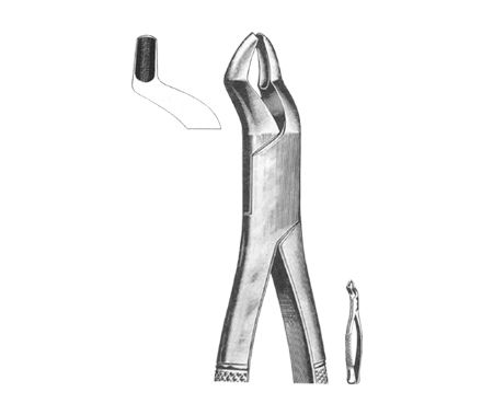Extracting Forceps American Pattern