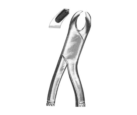 Extracting Forceps American Pattern
