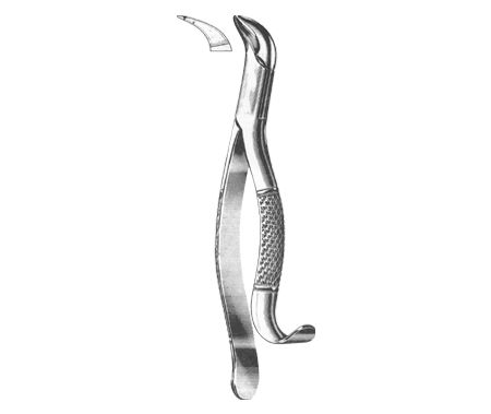 Extracting Forceps American Pattern