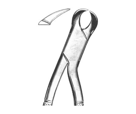 Extracting Forceps American Pattern