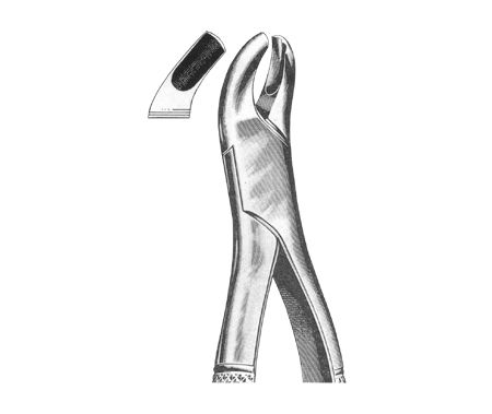 Extracting Forceps American Pattern