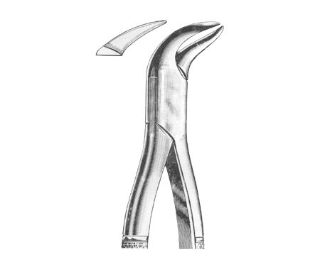 Extracting Forceps American Pattern