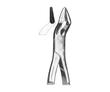 Extracting Forceps American Pattern