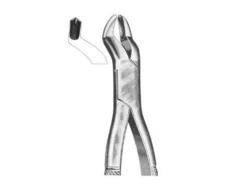 Extracting Forceps American Pattern