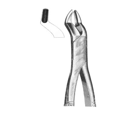 Extracting Forceps American Pattern