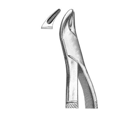 Extracting Forceps American Pattern
