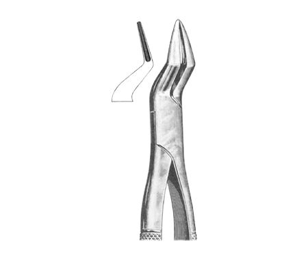 Extracting Forceps American Pattern
