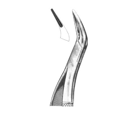 Extracting Forceps American Pattern