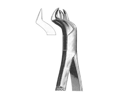 Extracting Forceps American Pattern