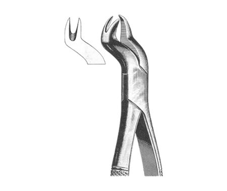 Extracting Forceps American Pattern